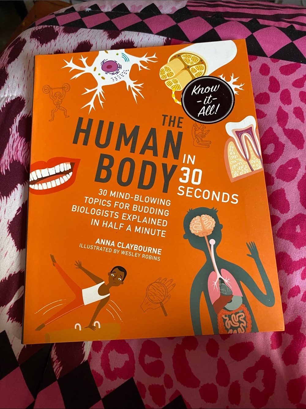 The Human Body in 30 Seconds - kids book